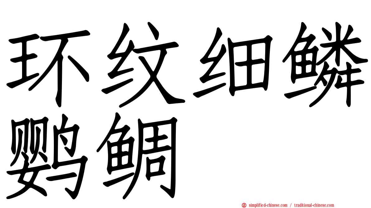 环纹细鳞鹦鲷