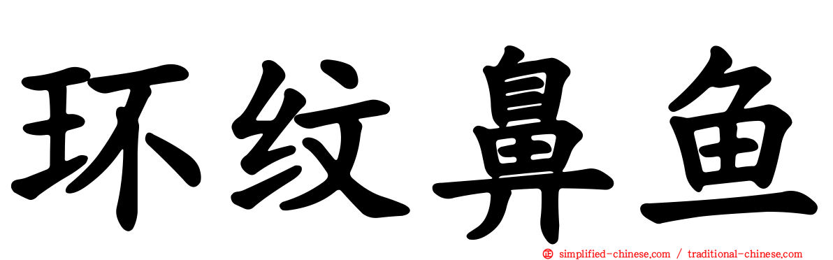 环纹鼻鱼