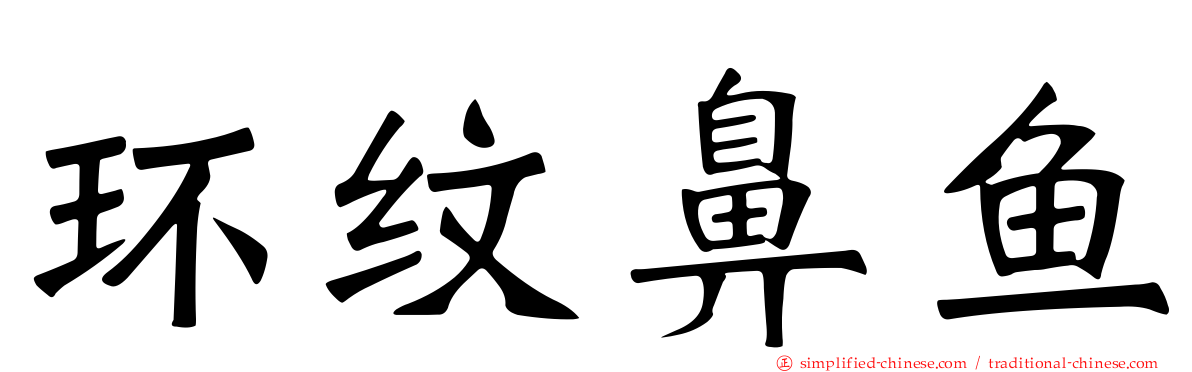 环纹鼻鱼
