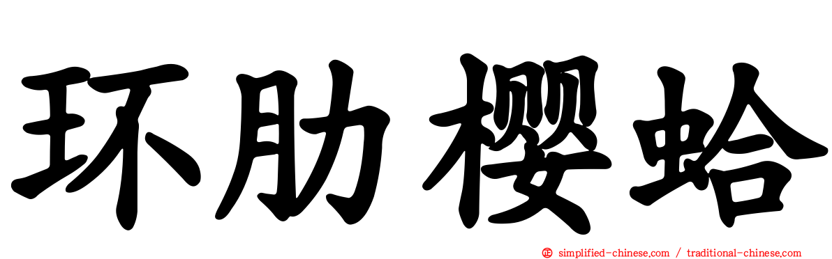 环肋樱蛤
