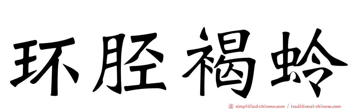 环胫褐蛉