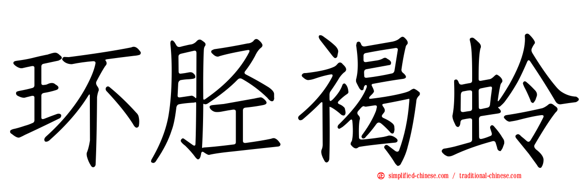 环胫褐蛉