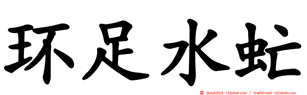 环足水虻