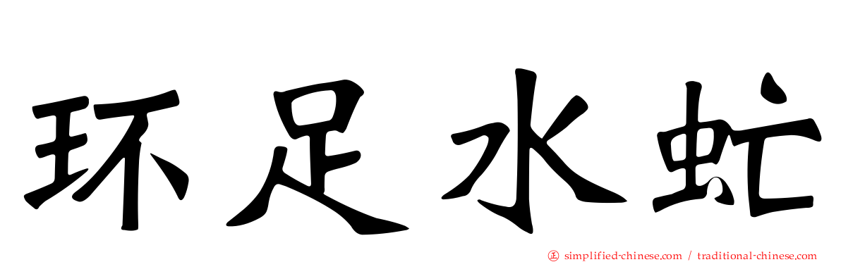 环足水虻