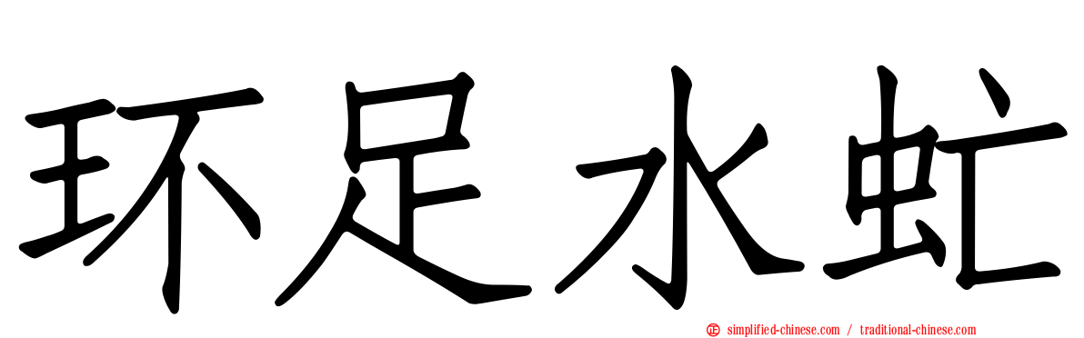 环足水虻