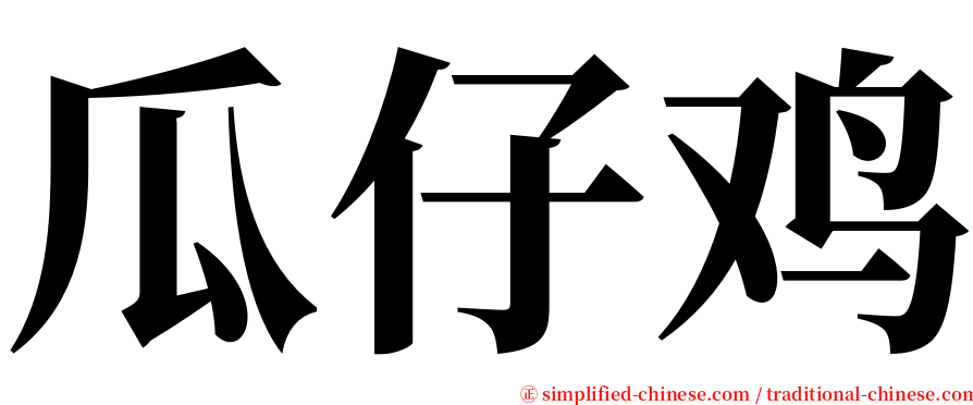 瓜仔鸡 serif font