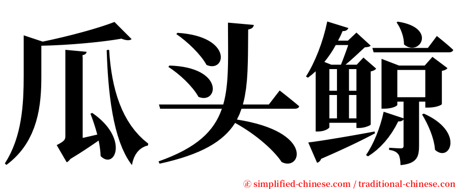 瓜头鲸 serif font