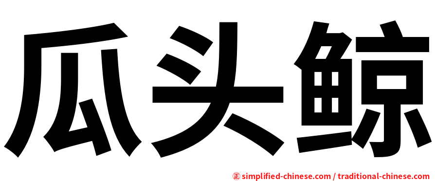 瓜头鲸