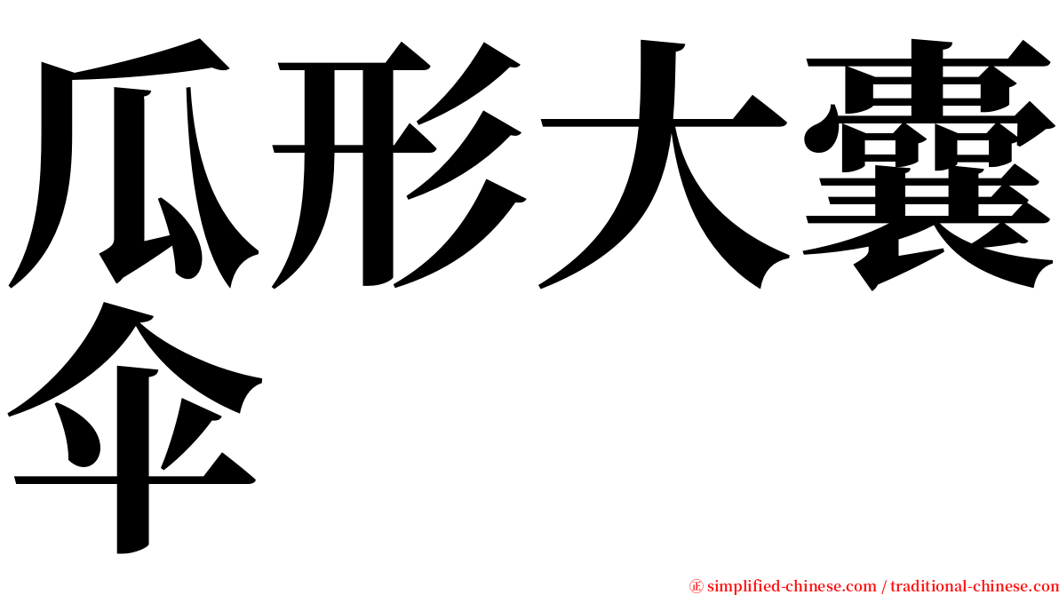 瓜形大囊伞 serif font