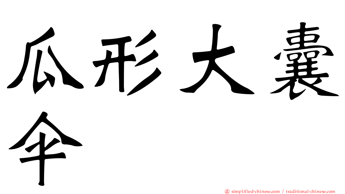 瓜形大囊伞
