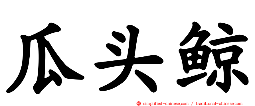 瓜头鲸