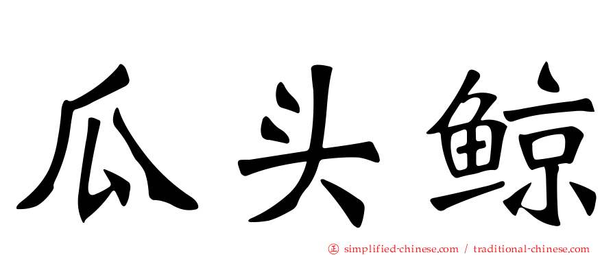 瓜头鲸