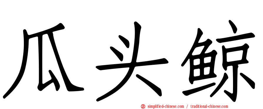 瓜头鲸