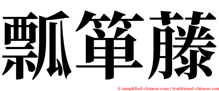 瓢箪藤 serif font