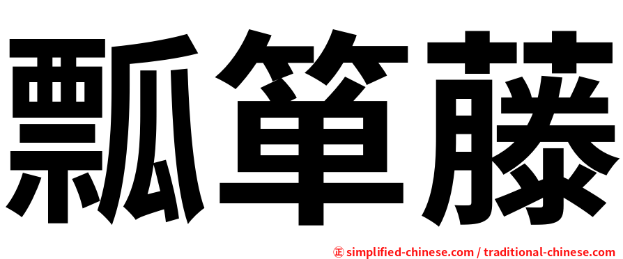 瓢箪藤