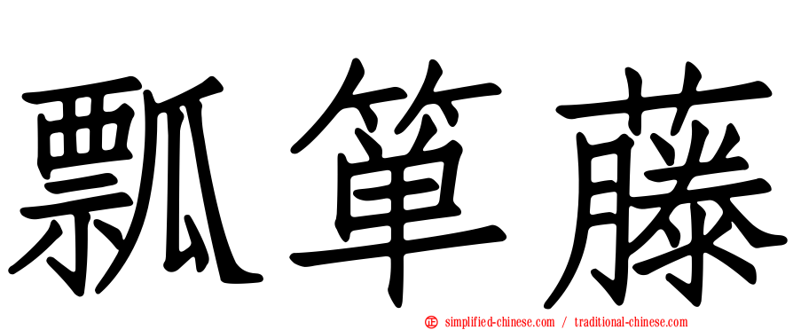 瓢箪藤