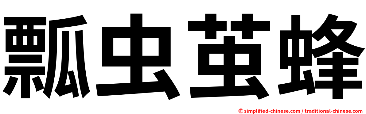 瓢虫茧蜂