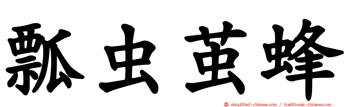 瓢虫茧蜂