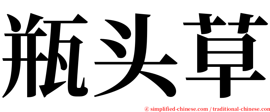 瓶头草 serif font