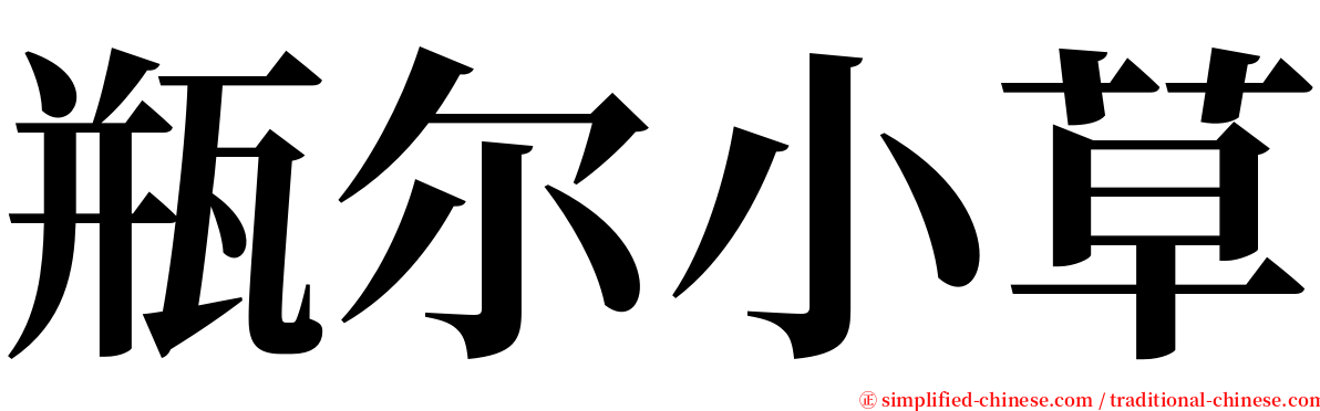 瓶尔小草 serif font