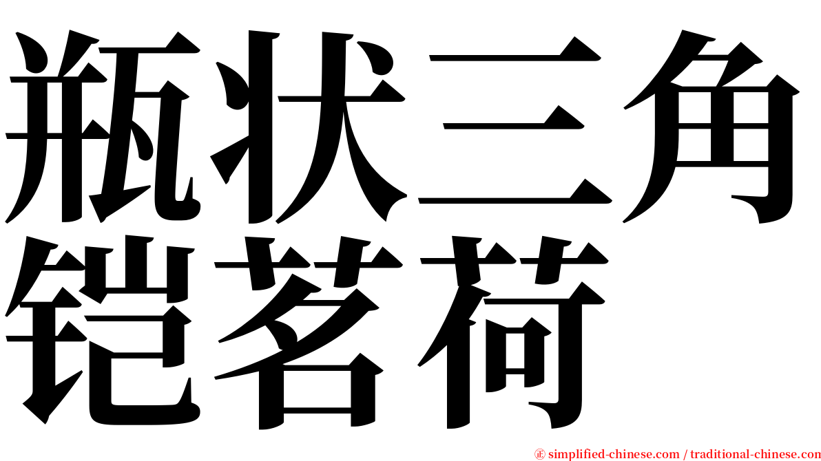 瓶状三角铠茗荷 serif font
