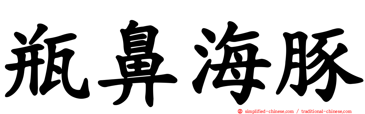 瓶鼻海豚