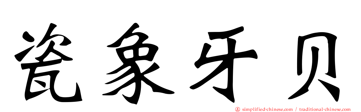 瓷象牙贝