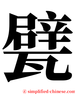 甓 serif font