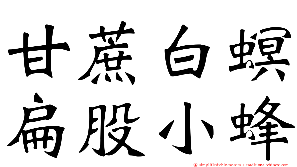 甘蔗白螟扁股小蜂