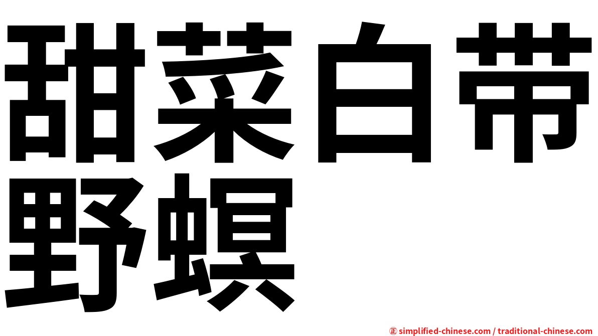 甜菜白带野螟
