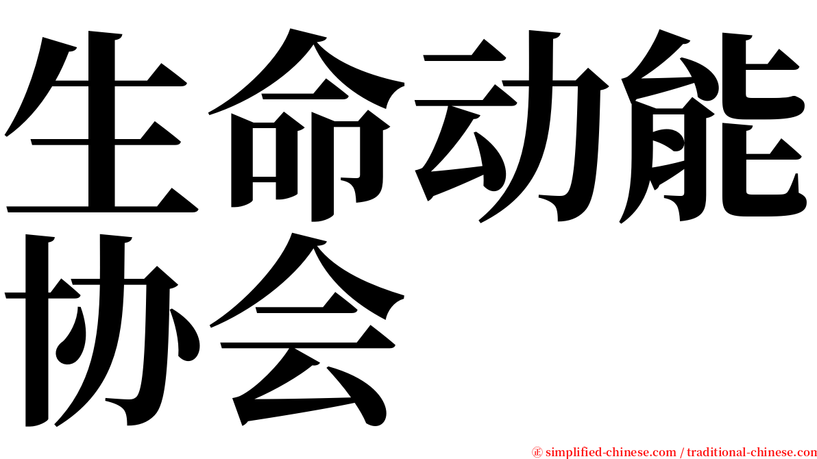 生命动能协会 serif font