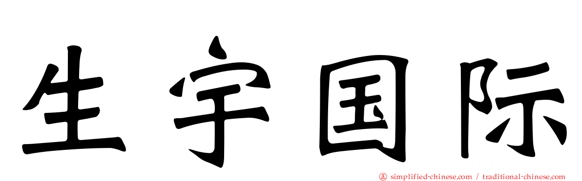 生宇国际