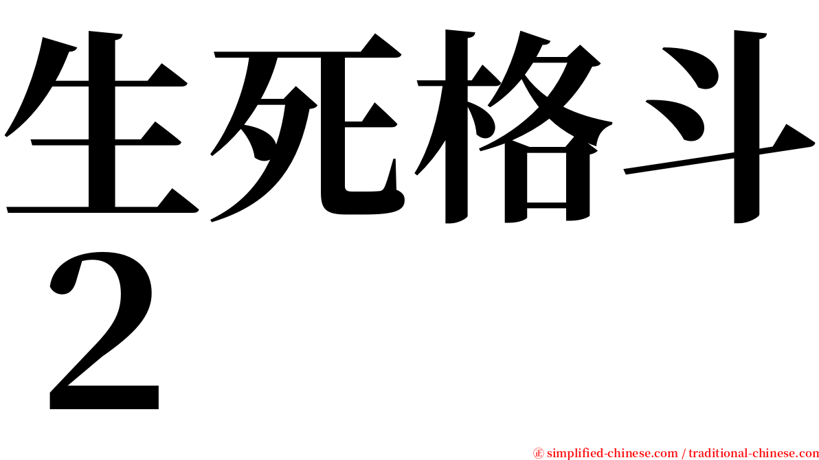 生死格斗２ serif font