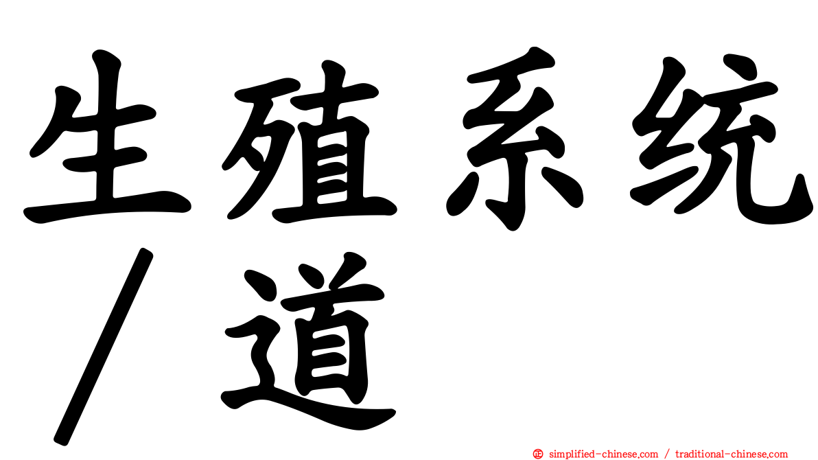 生殖系统∕道