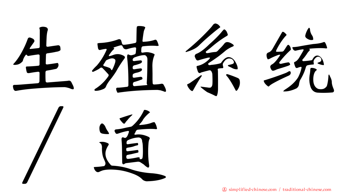 生殖系统∕道