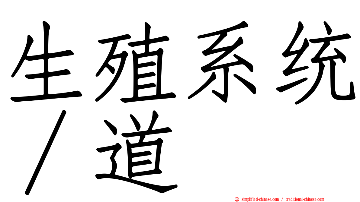生殖系统∕道