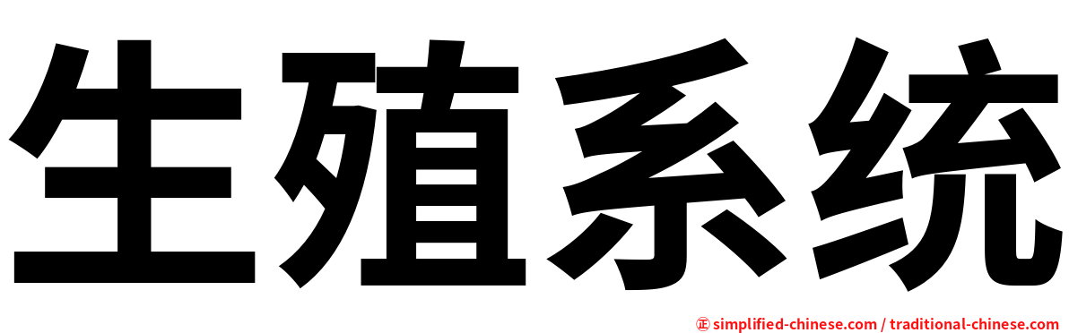 生殖系统