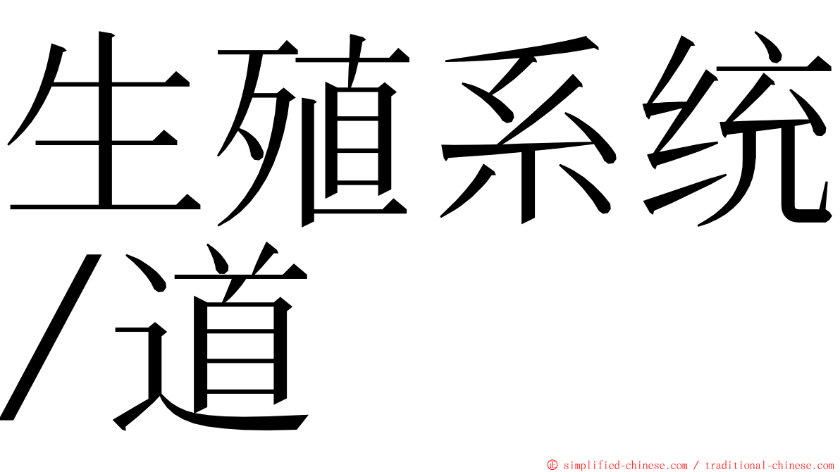 生殖系统∕道 ming font