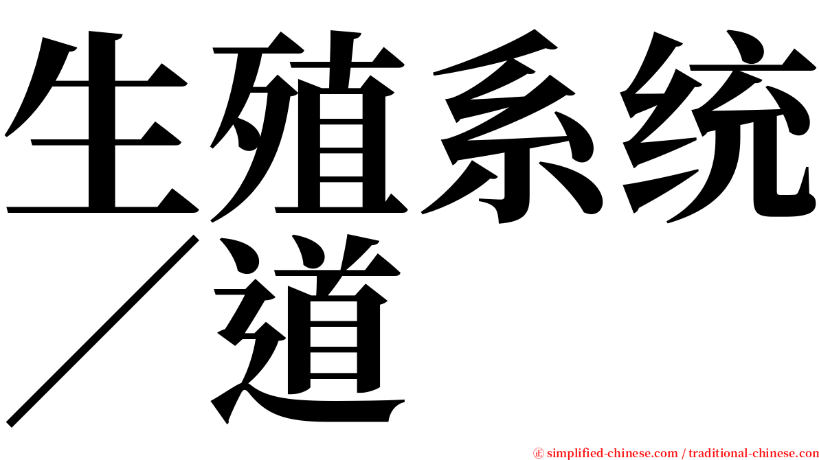 生殖系统∕道 serif font