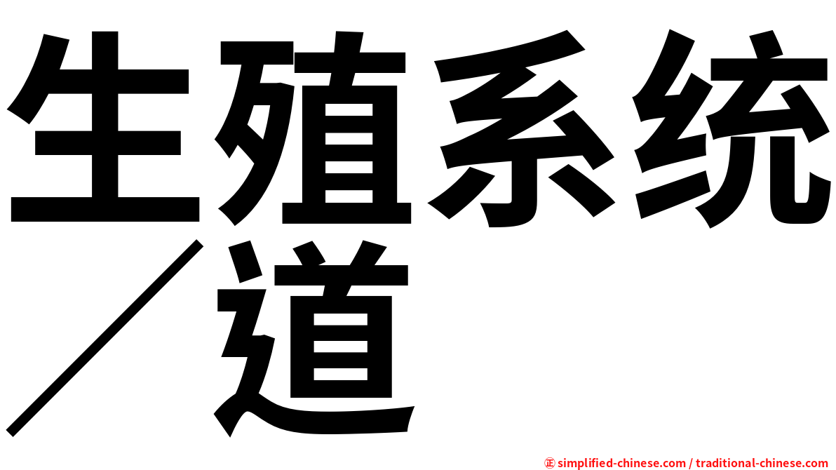 生殖系统∕道