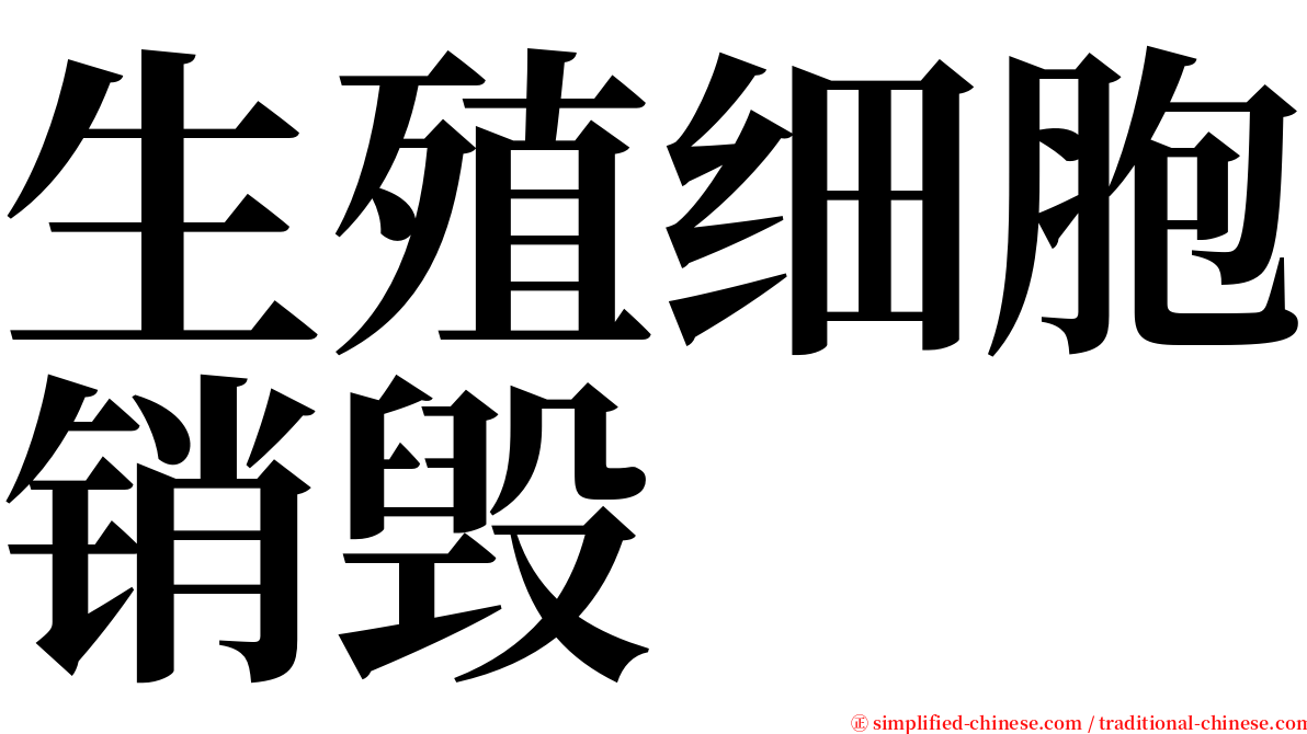 生殖细胞销毁 serif font
