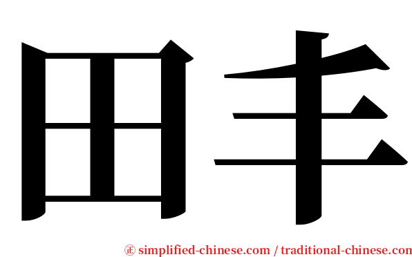 田丰 serif font