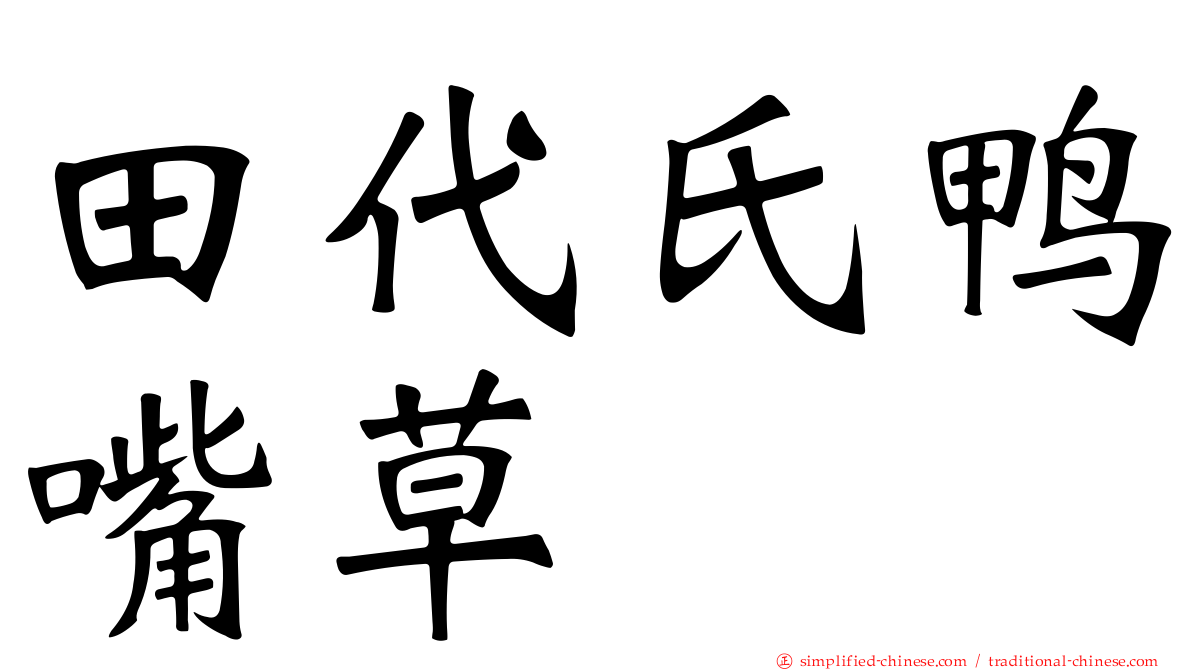 田代氏鸭嘴草