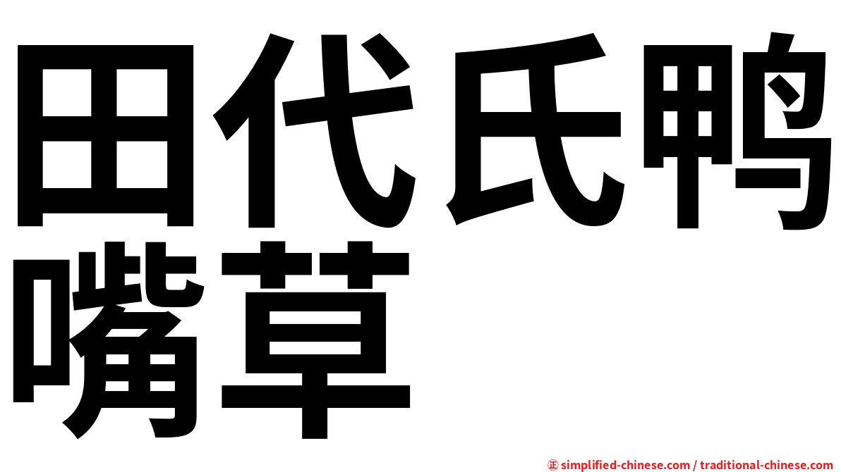 田代氏鸭嘴草
