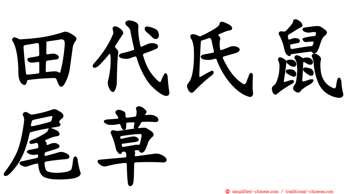 田代氏鼠尾草