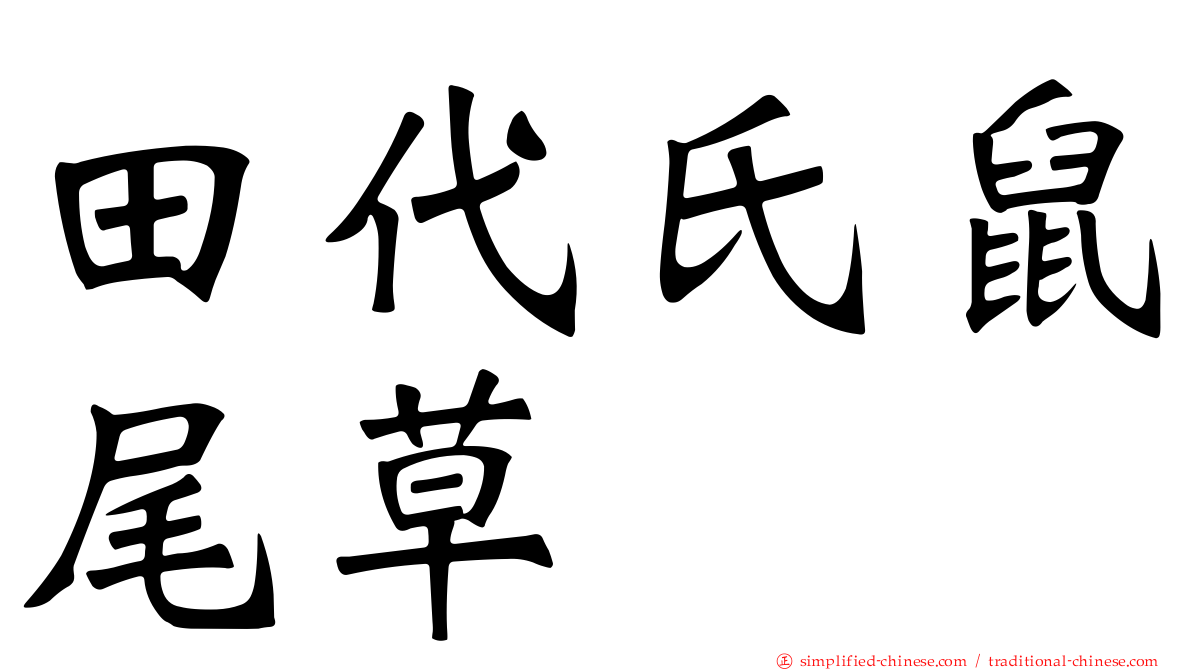 田代氏鼠尾草
