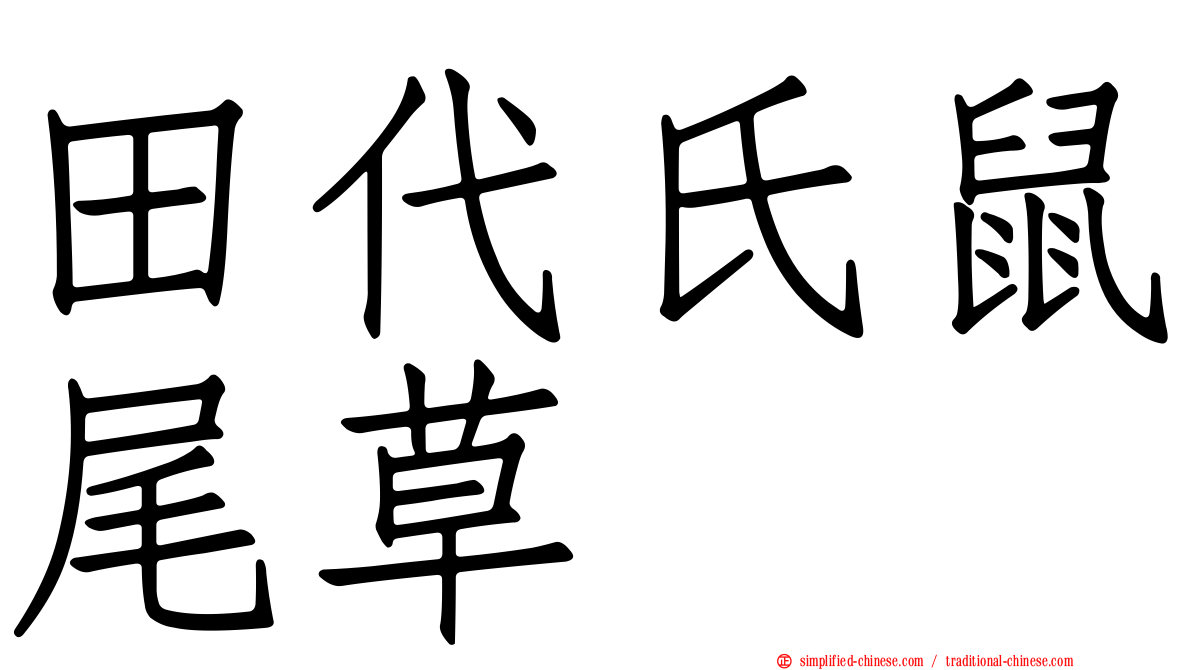 田代氏鼠尾草