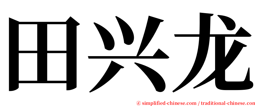 田兴龙 serif font