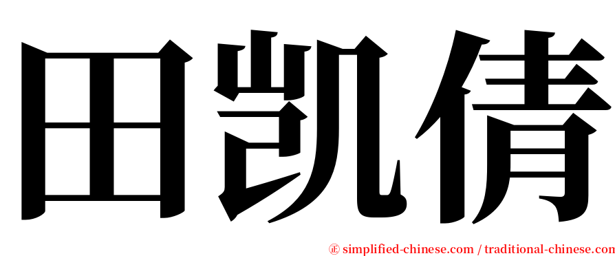 田凯倩 serif font