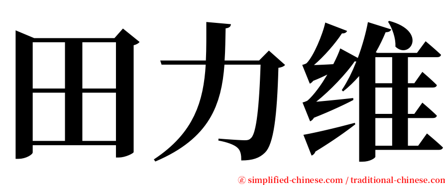 田力维 serif font